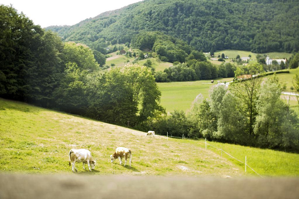 Tourist Farm Mraz Villa Podčetrtek Eksteriør bilde